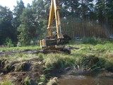 Zabiegi ochronne w obszarze Natura 2000 Barłożnia Wolsztyńska związane z ratowaniem strzebli błotnej