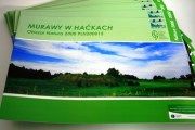 Publikacja Murawy w Haćkach