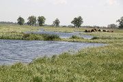 Przemkowski Park Krajobrazowy/Dolnośląski Zespół Parków Krajobrazowych