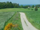 Ochrona krajobrazu w łódzkich parkach krajobrazowych / fot. Zespół Parków Krajobrazowych Województwa Łódzkiego