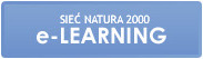 E-learning